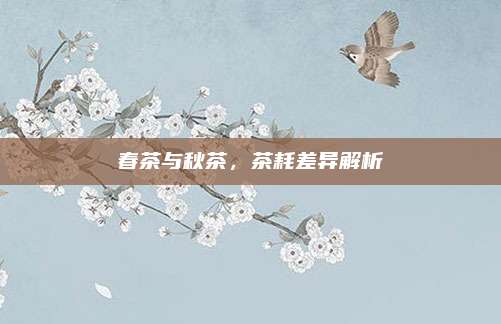 春茶与秋茶,茶耗差异解析