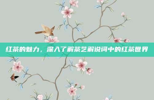 红茶的魅力,深入了解茶艺解说词中的红茶世界