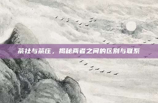 茶社与茶庄,揭秘两者之间的区别与联系