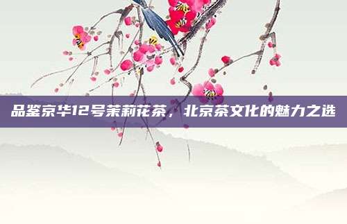 品鉴京华12号茉莉花茶,北京茶文化的魅力之选