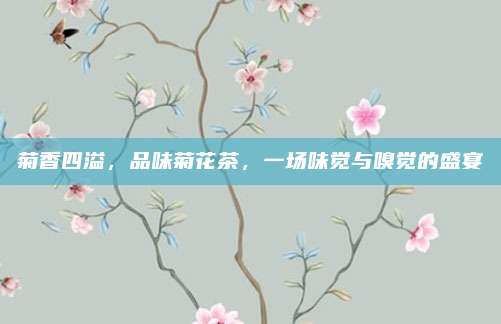 菊香四溢,品味菊花茶,一场味觉与嗅觉的盛宴