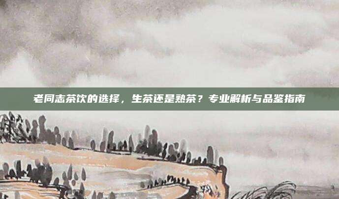 老同志茶饮的选择,生茶还是熟茶?专业解析与品鉴指南
