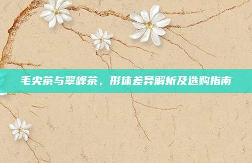 毛尖茶与翠峰茶,形体差异解析及选购指南