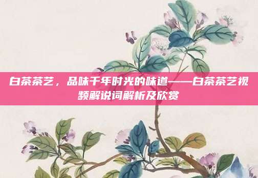 白茶茶艺,品味千年时光的味道——白茶茶艺视频解说词解析及欣赏