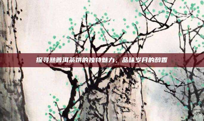 探寻熟普洱茶饼的独特魅力,品味岁月的醇香
