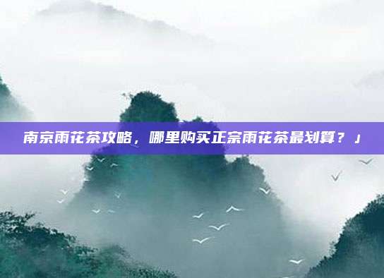 南京雨花茶攻略，哪里购买正宗雨花茶最划算？」