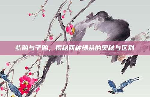紫鹃与子鹃，揭秘两种绿茶的奥秘与区别