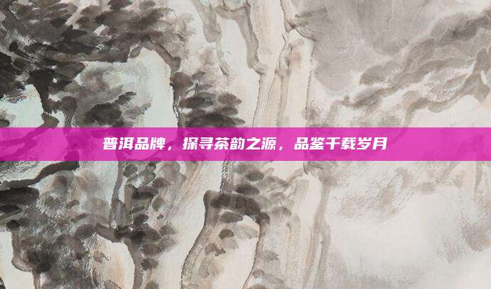 普洱品牌，探寻茶韵之源，品鉴千载岁月