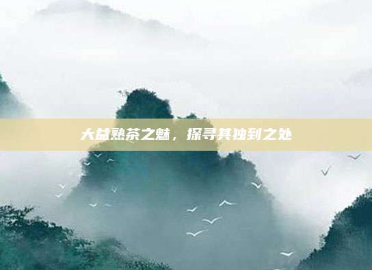 大益熟茶之魅，探寻其独到之处