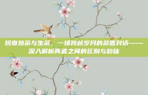 班章熟茶与生茶，一场跨越岁月的茶香对话——深入解析两者之间的区别与韵味