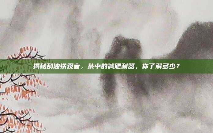 揭秘刮油铁观音,茶中的减肥利器,你了解多少?