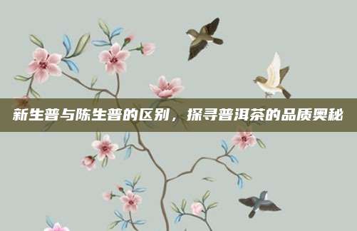 新生普与陈生普的区别,探寻普洱茶的品质奥秘