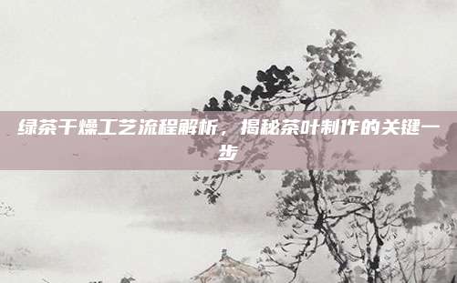 绿茶干燥工艺流程解析，揭秘茶叶制作的关键一步