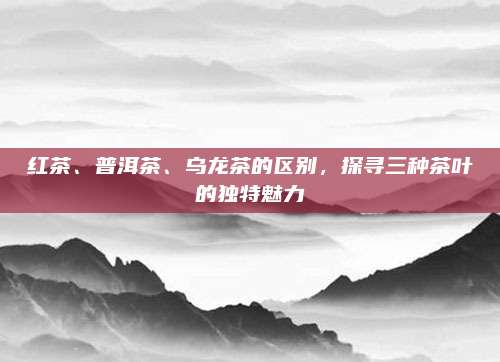 红茶、普洱茶、乌龙茶的区别，探寻三种茶叶的独特魅力