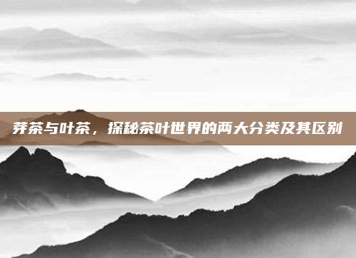 芽茶与叶茶，探秘茶叶世界的两大分类及其区别