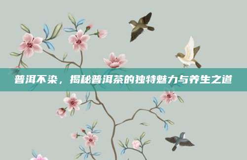 普洱不染，揭秘普洱茶的独特魅力与养生之道