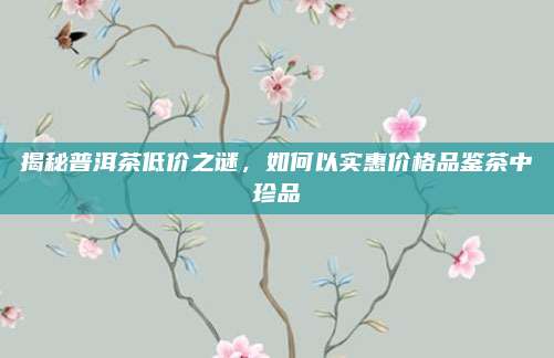 揭秘普洱茶低价之谜，如何以实惠价格品鉴茶中珍品