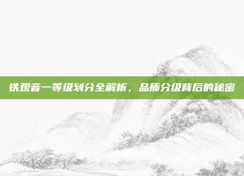 铁观音一等级划分全解析，品质分级背后的秘密