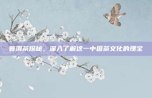 普洱茶探秘,深入了解这一中国茶文化的瑰宝