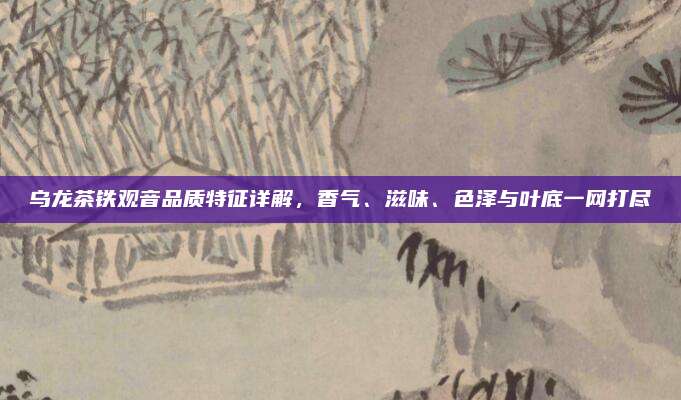 乌龙茶铁观音品质特征详解,香气、滋味、色泽与叶底一网打尽