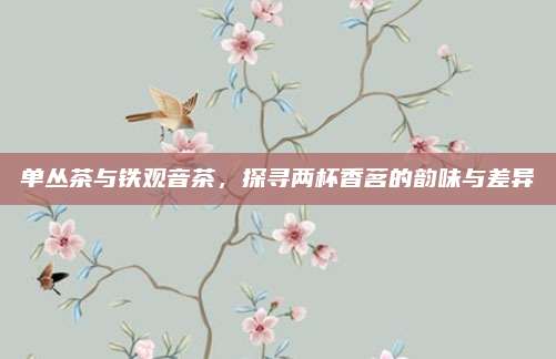 单丛茶与铁观音茶，探寻两杯香茗的韵味与差异