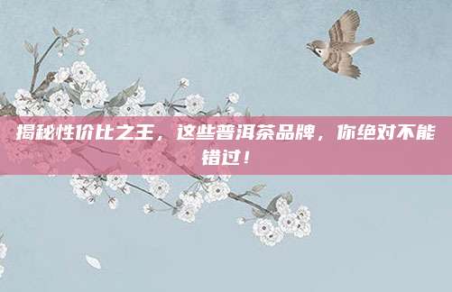 揭秘性价比之王，这些普洱茶品牌，你绝对不能错过！