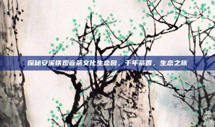 探秘安溪铁观音茶文化生态园，千年茶香，生态之旅