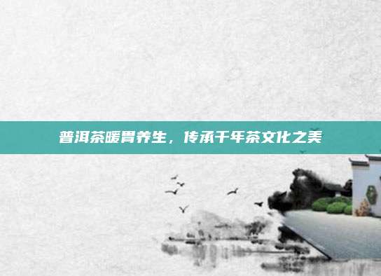 普洱茶暖胃养生，传承千年茶文化之美