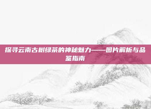 探寻云南古树绿茶的神秘魅力——图片解析与品鉴指南