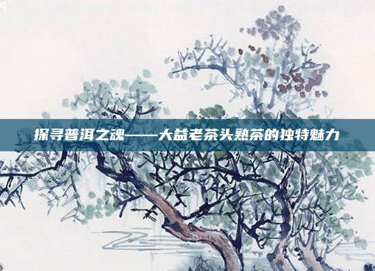 探寻普洱之魂——大益老茶头熟茶的独特魅力