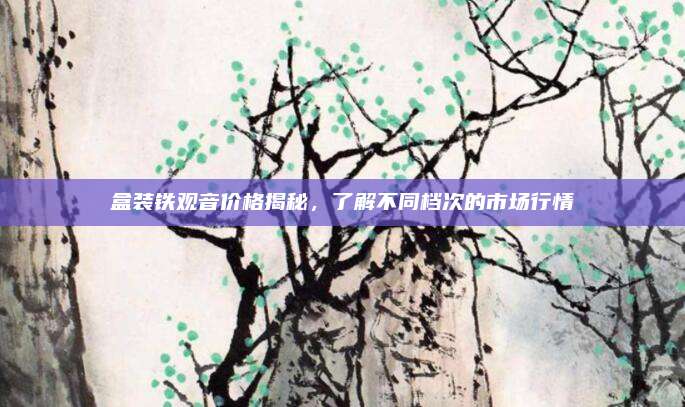 盒装铁观音价格揭秘，了解不同档次的市场行情
