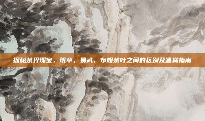 探秘茶界瑰宝，班章、易武、布朗茶叶之间的区别及鉴赏指南
