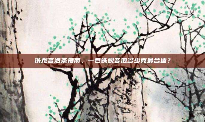 铁观音泡茶指南，一包铁观音泡多少克最合适？