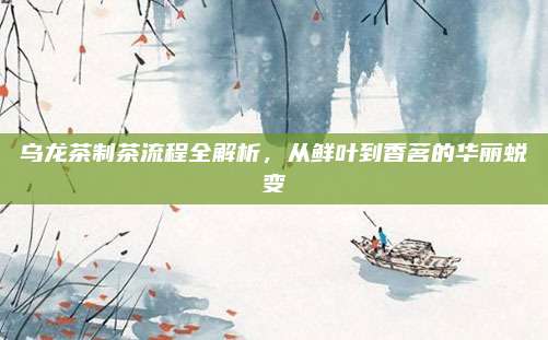 乌龙茶制茶流程全解析，从鲜叶到香茗的华丽蜕变