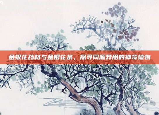 金银花药材与金银花茶，探寻同源异用的神奇植物