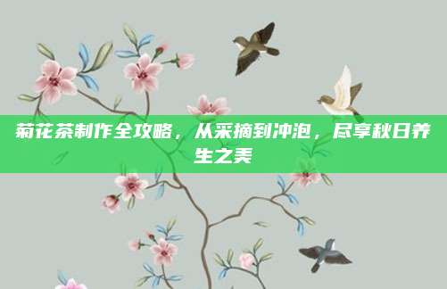 菊花茶制作全攻略,从采摘到冲泡,尽享秋日养生之美