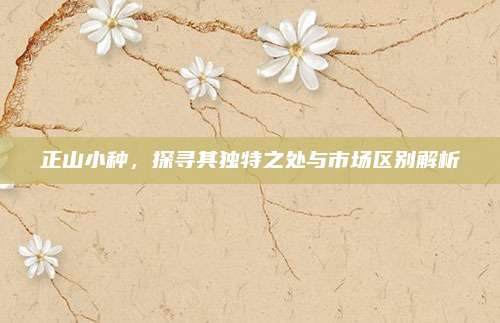 正山小种,探寻其独特之处与市场区别解析