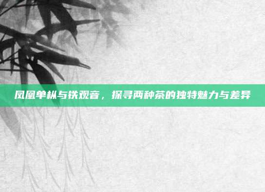 凤凰单枞与铁观音，探寻两种茶的独特魅力与差异