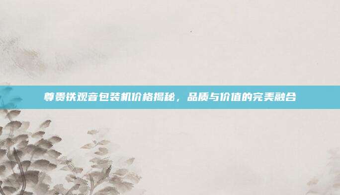 尊贵铁观音包装机价格揭秘，品质与价值的完美融合