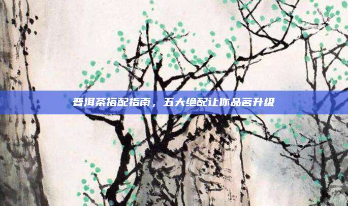 普洱茶搭配指南，五大绝配让你品茗升级