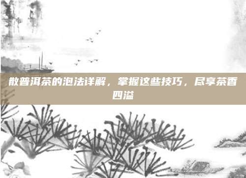 散普洱茶的泡法详解，掌握这些技巧，尽享茶香四溢