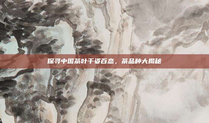 探寻中国茶叶千姿百态，茶品种大揭秘