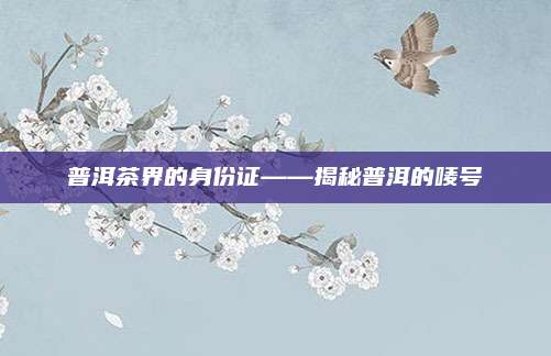 普洱茶界的身份证——揭秘普洱的唛号