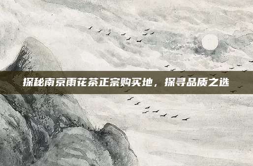 探秘南京雨花茶正宗购买地，探寻品质之选