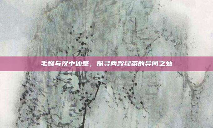 毛峰与汉中仙毫，探寻两款绿茶的异同之处
