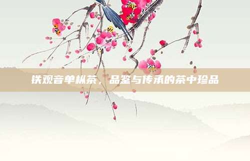 铁观音单枞茶，品鉴与传承的茶中珍品