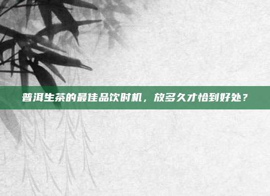 普洱生茶的最佳品饮时机，放多久才恰到好处？