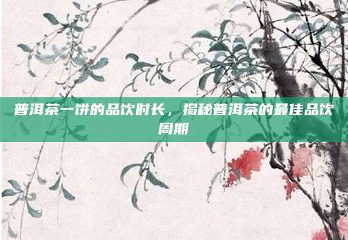 普洱茶一饼的品饮时长，揭秘普洱茶的最佳品饮周期