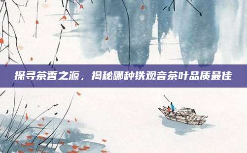 探寻茶香之源，揭秘哪种铁观音茶叶品质最佳