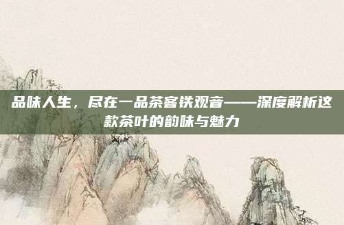 品味人生，尽在一品茶客铁观音——深度解析这款茶叶的韵味与魅力